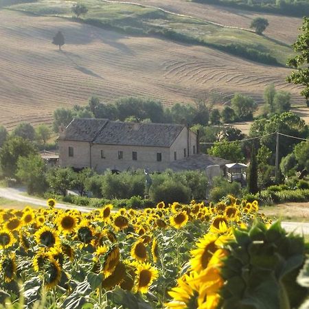 Trecastelli "La Casa Degli Ulivi Art B&B" מראה חיצוני תמונה