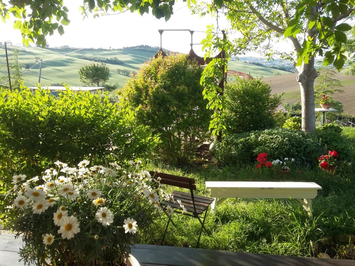 Trecastelli "La Casa Degli Ulivi Art B&B" מראה חיצוני תמונה