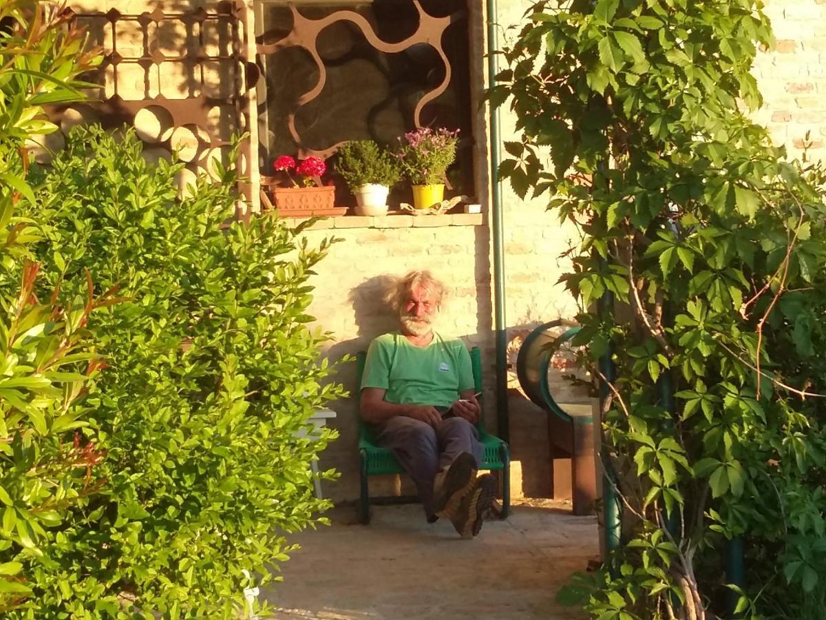 Trecastelli "La Casa Degli Ulivi Art B&B" מראה חיצוני תמונה