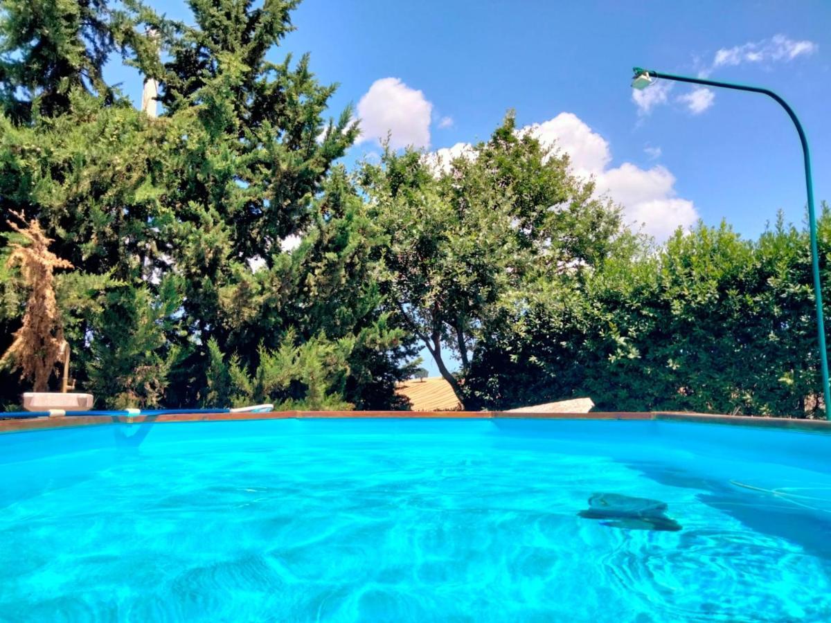 Trecastelli "La Casa Degli Ulivi Art B&B" מראה חיצוני תמונה